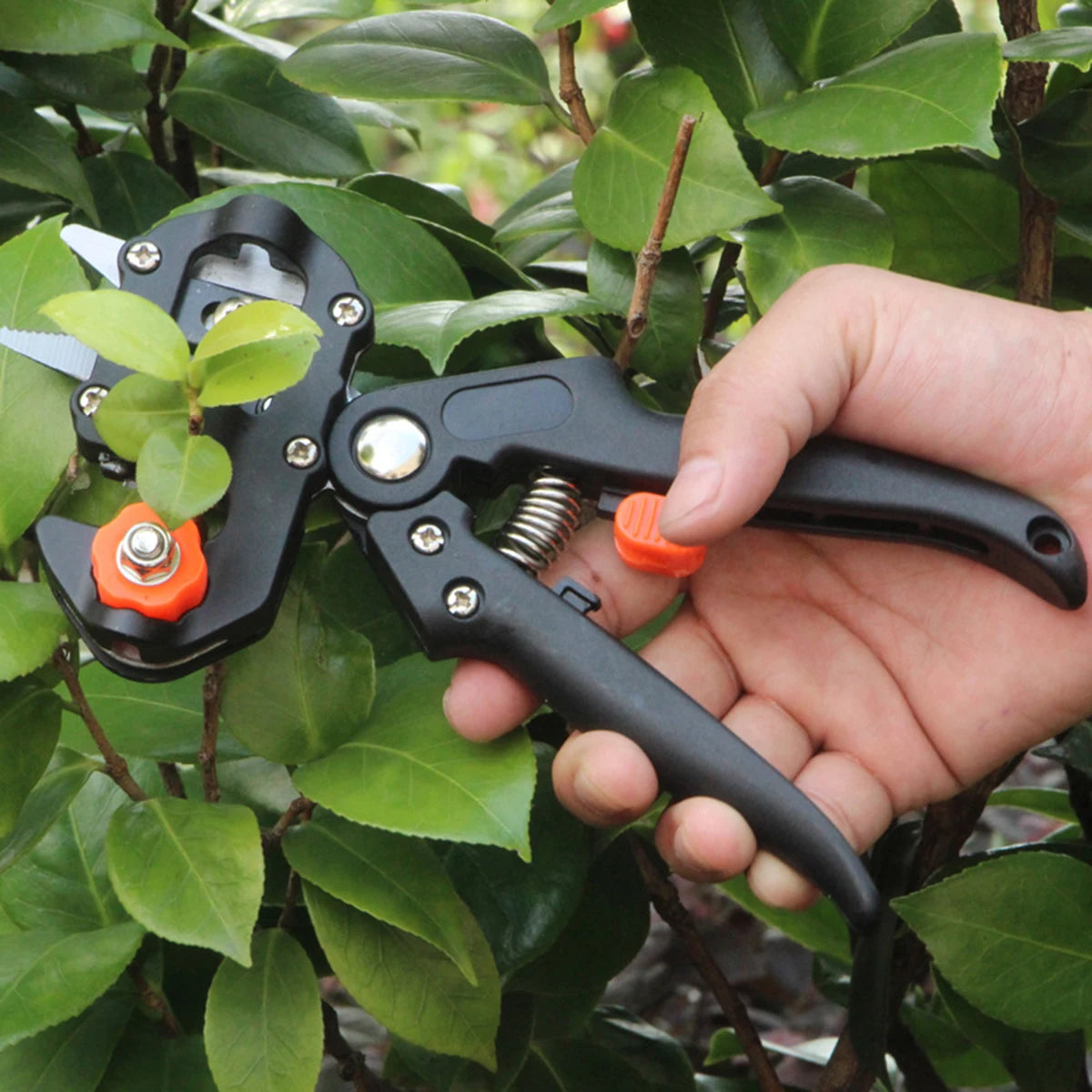 Grafting Pruner Branch Cutter