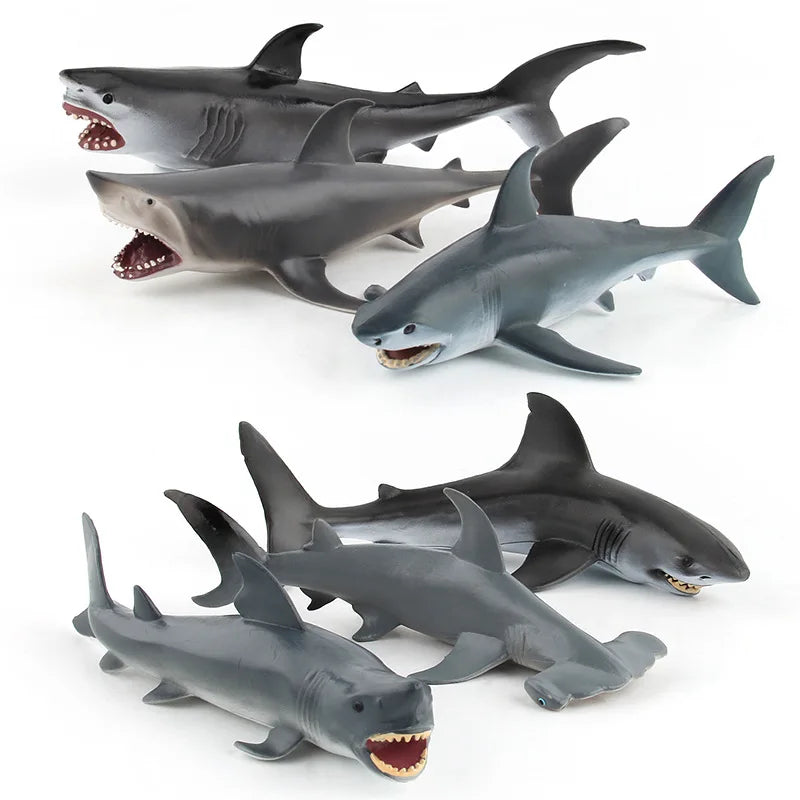 11 Styles Sharks, Fish Model, Children Cognitive Education Simulation