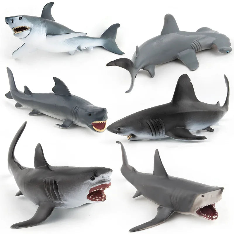 11 Styles Sharks, Fish Model, Children Cognitive Education Simulation