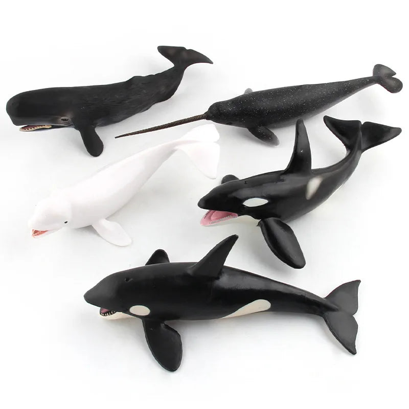 11 Styles Sharks, Fish Model, Children Cognitive Education Simulation