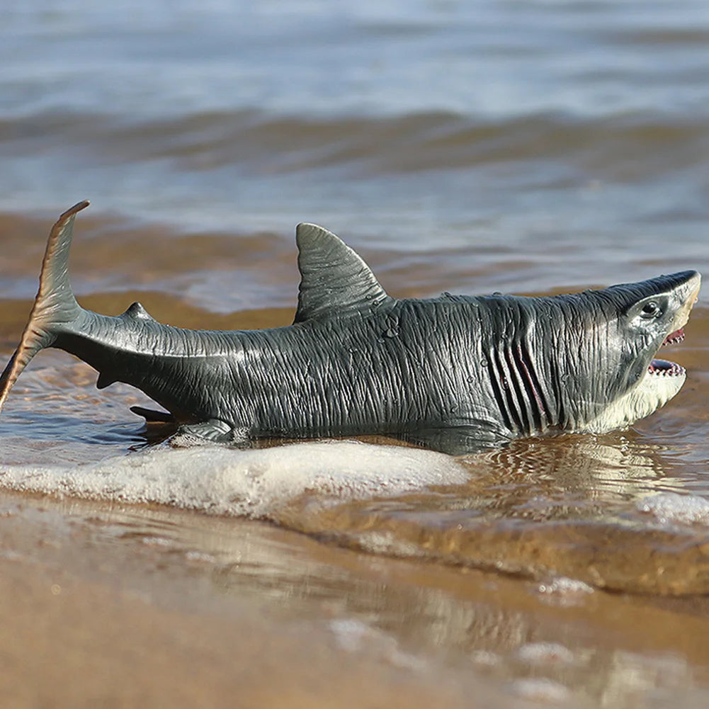 Megalodon Whale Shark Model Action Figure