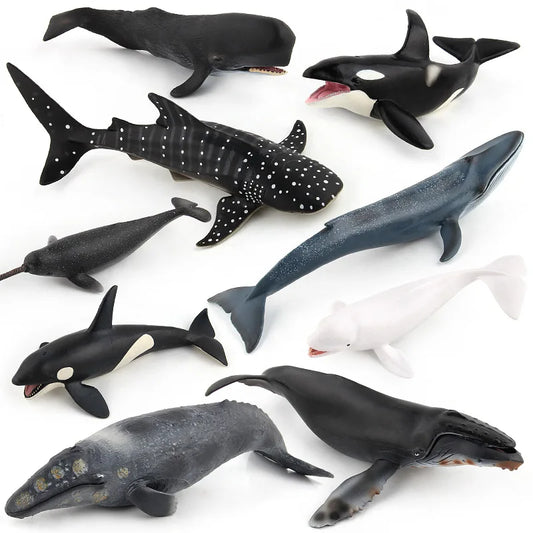 11 Styles Sharks, Fish Model, Children Cognitive Education Simulation